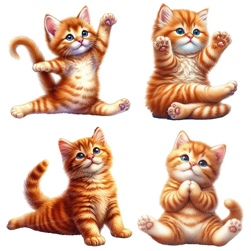 Yoga Cat  Wall Sticker Removab - Commercial Kitchen Fridge บทวิจารณ์และราคา