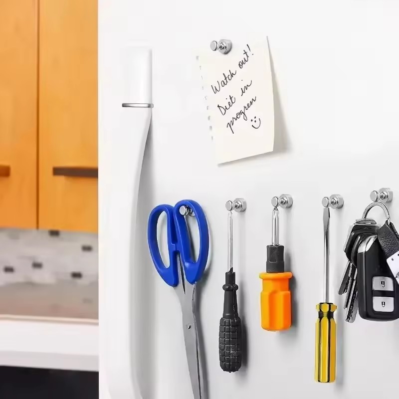 20mm Heavy Duty Magnet Strong  - Commercial Kitchen Fridge บทวิจารณ์และราคา