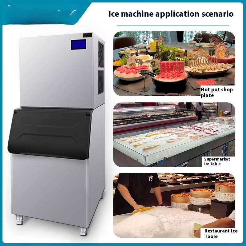 Customized Wheat Snowflake Mak - Commercial Ice Maker บทวิจารณ์และราคา
